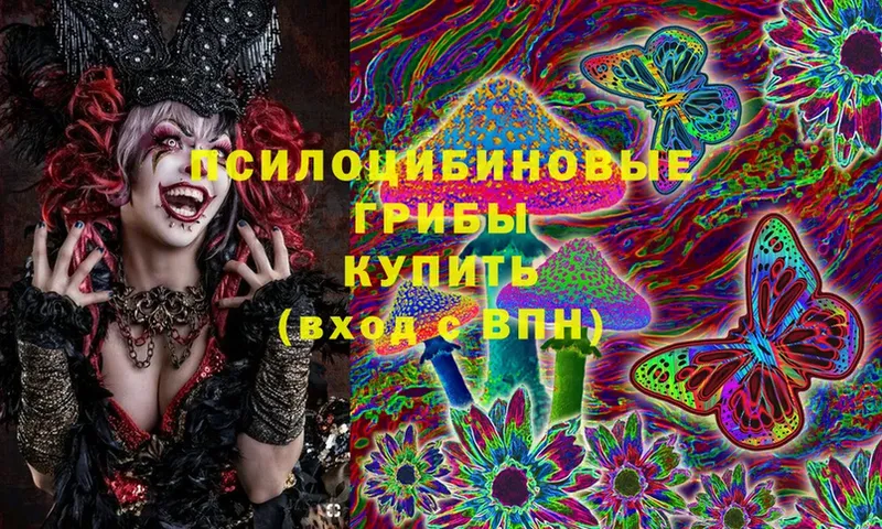 blacksprut зеркало  купить закладку  Абаза  Галлюциногенные грибы Cubensis 